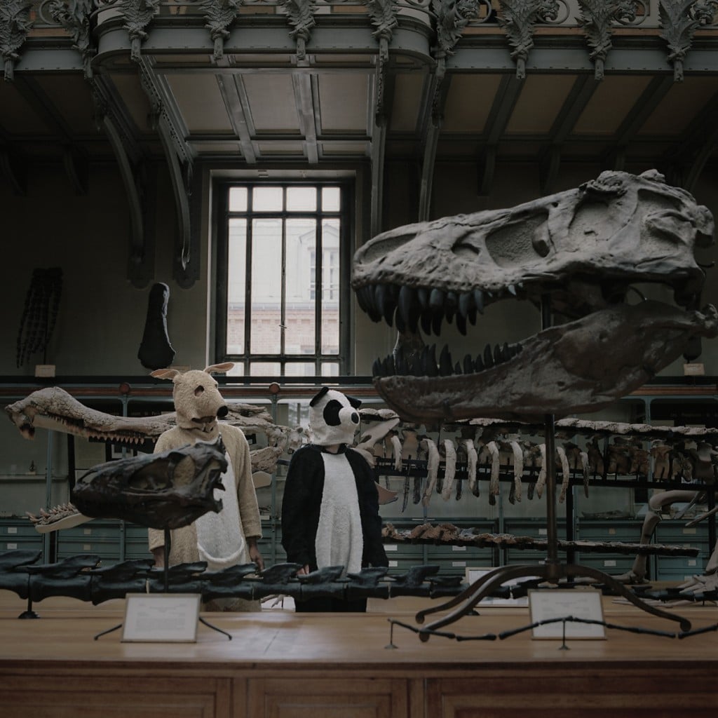 Who Makes Anita Shake ! – Cinecittà