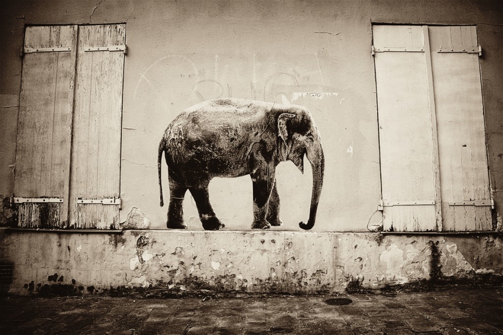 Street animal carnival