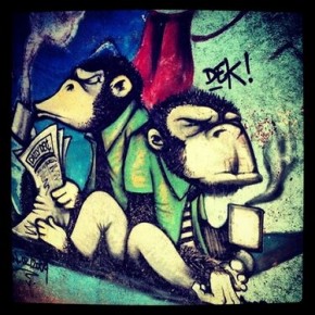 monkey at work