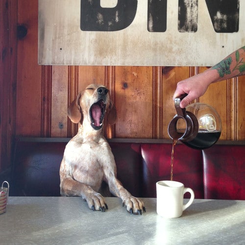 Monday Frakin&rsquo; morning
