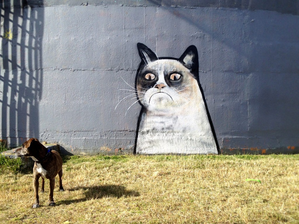 Street art of the week #59 – Spécial Chat