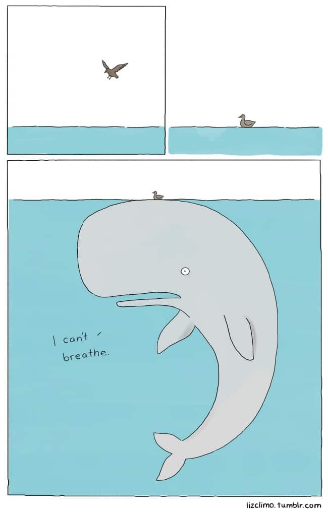 Liz est plus drole que toi