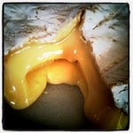 Le capitaine est parti déjeuner #2 Cœur de neufchatel