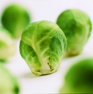 Le capitaine est parti déjeuner #5 Chou de Bruxelles