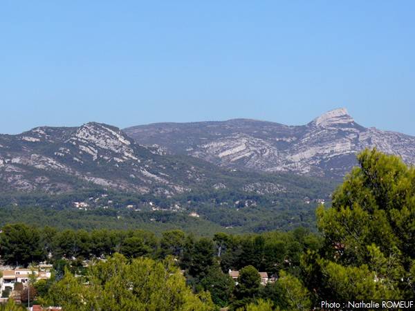 la trilogie de pagnol