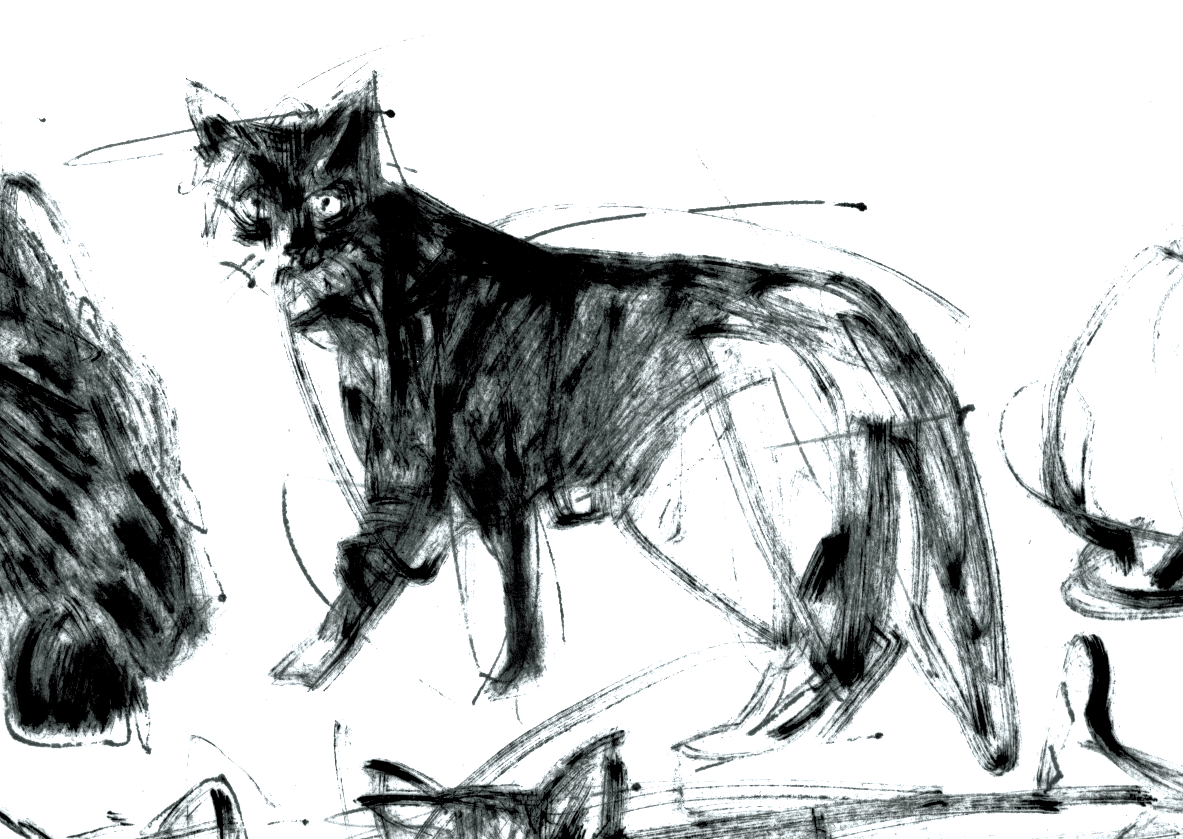 chat