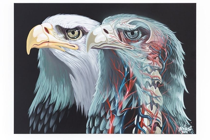 Instaow #3 – De street art et d&rsquo;os