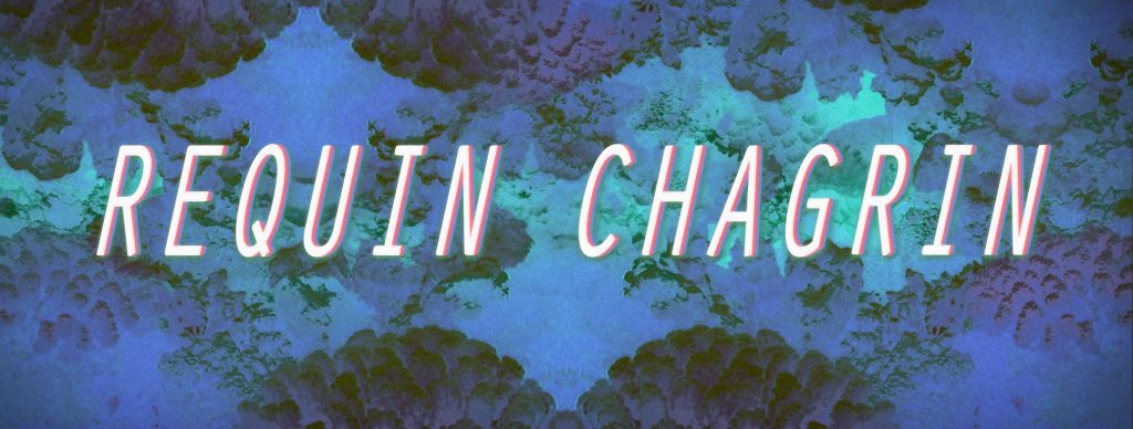 REQUIN CHAGRIN, le coup de cœur d&rsquo;INDOCHINE !