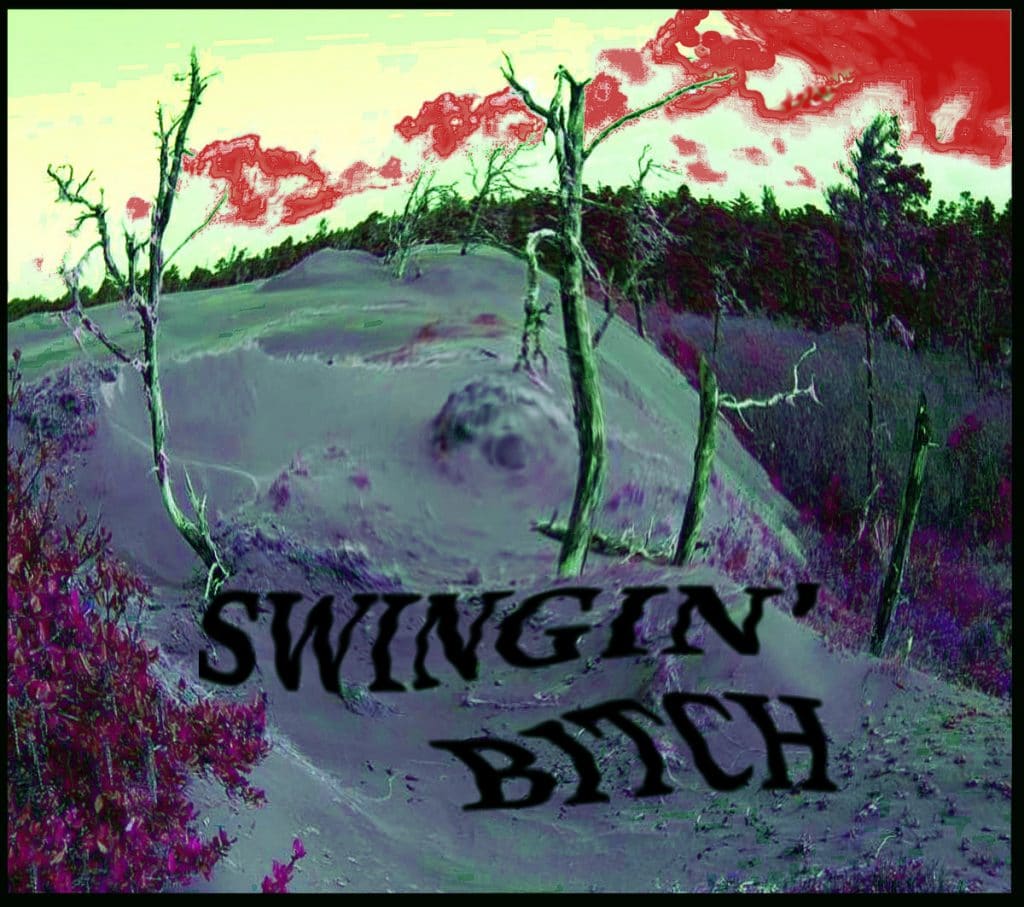 swingin bitch