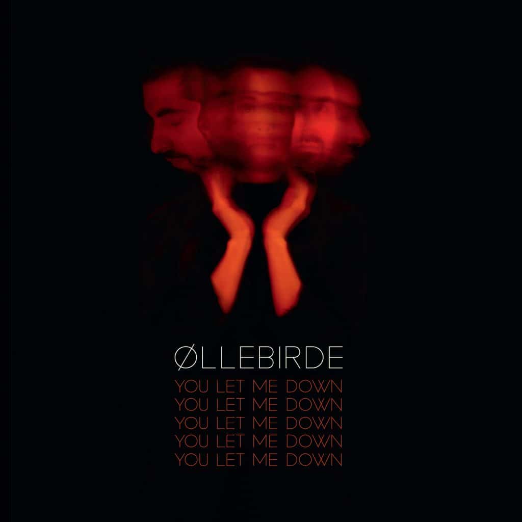 Øllebirde