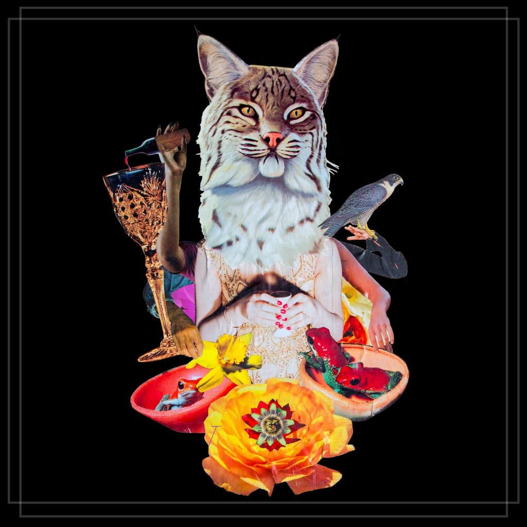 Bennett Wales & The Relief Fine