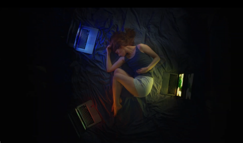 Violette Fleur Bleue Seul Tout Aow Article 1024x602