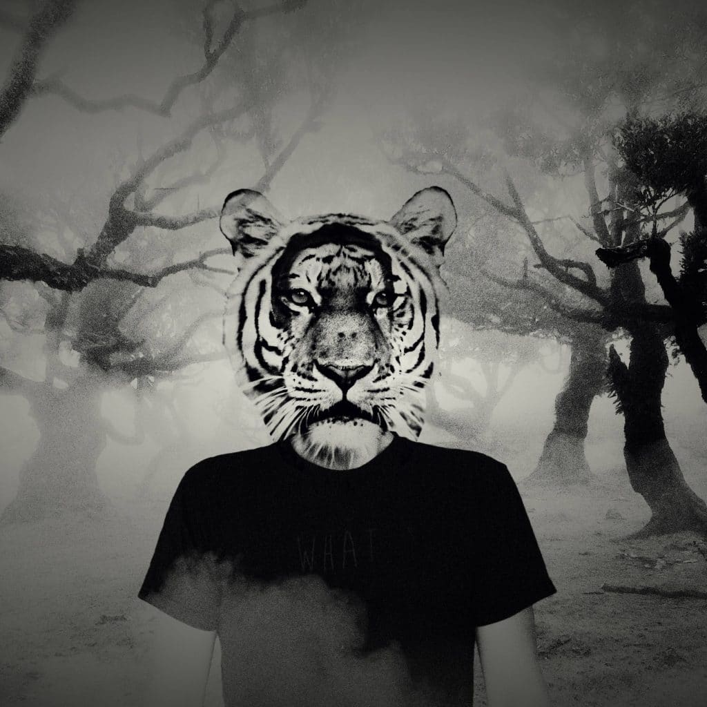 PANAVISCOPE : De la pop Suisse pour illuminer ta journée   