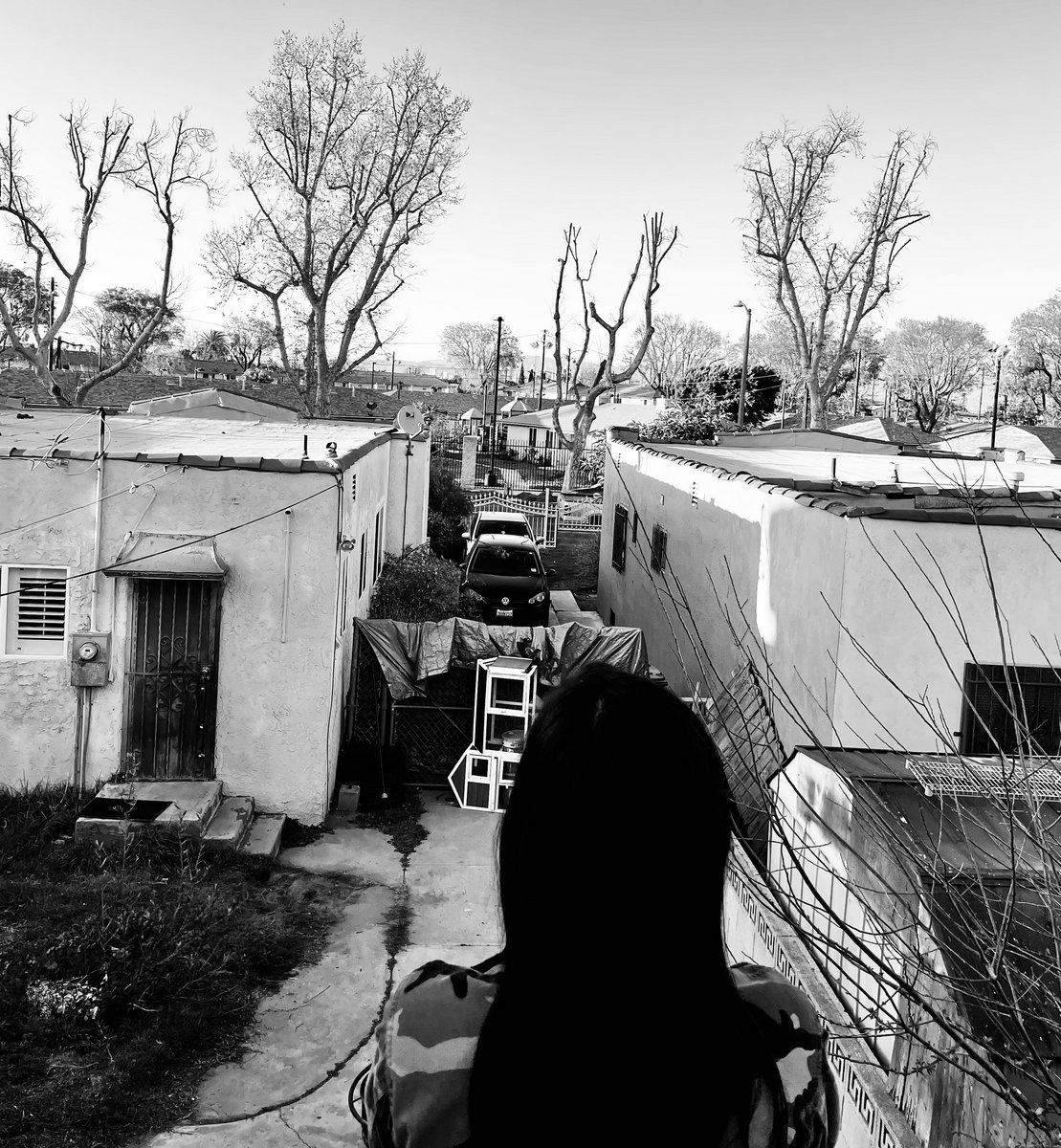 Generación Suicida
