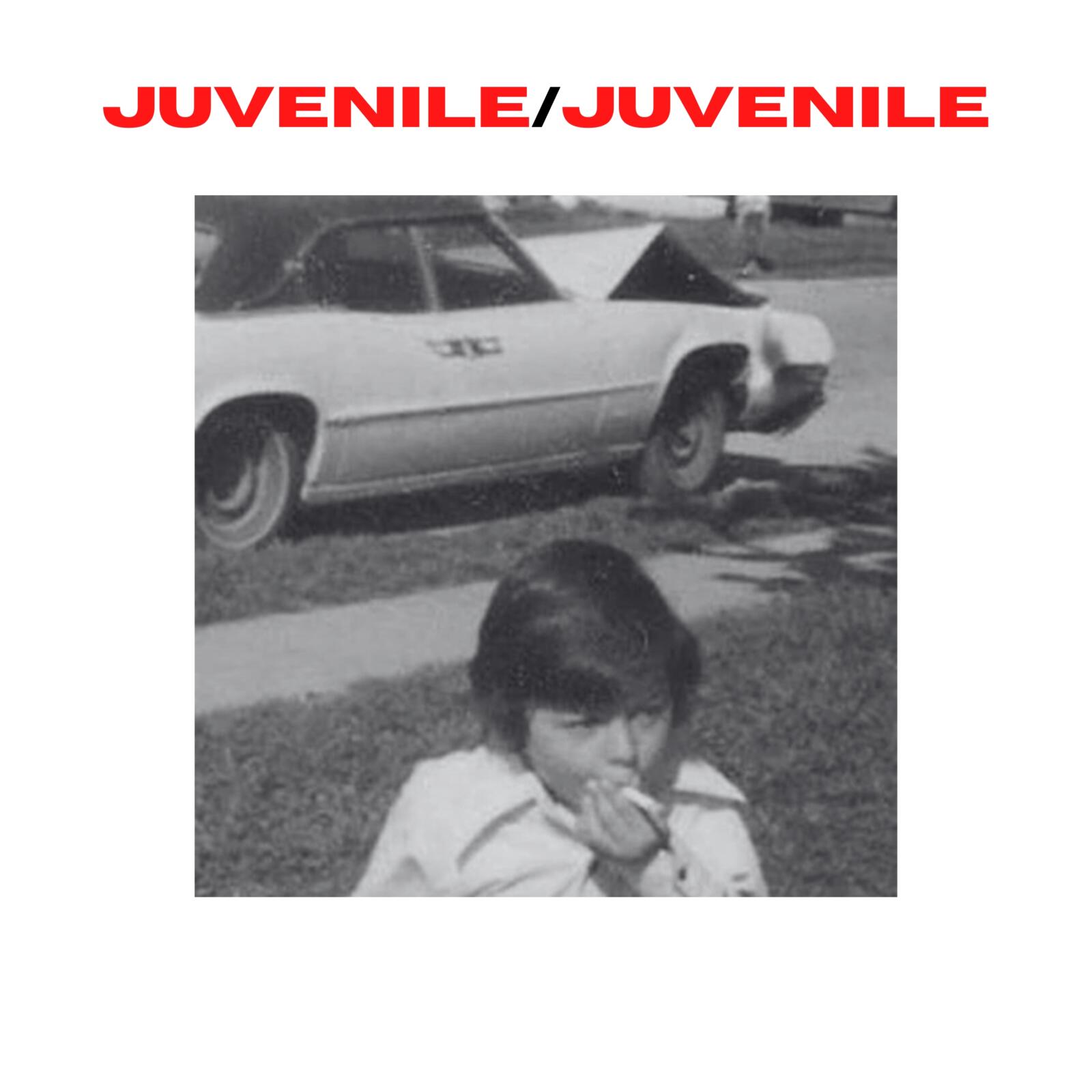 juvenile