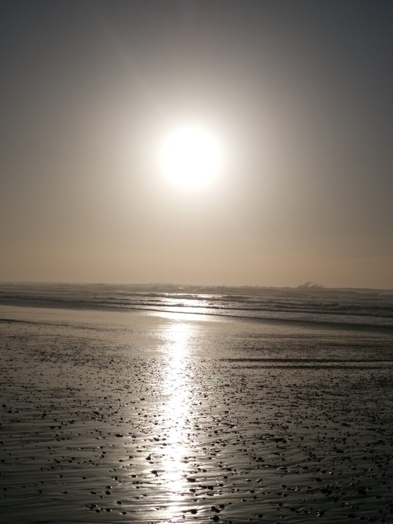 Jules Verne, écrivain, voyageur et punk