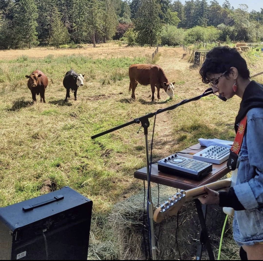 musique playlist