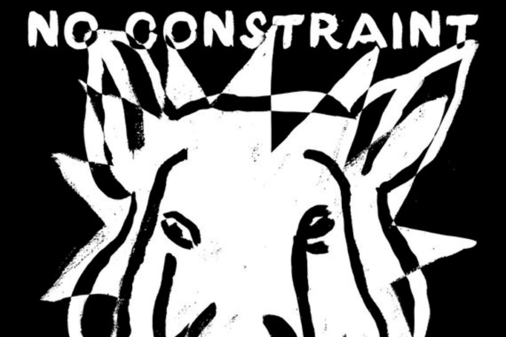 no constraint, public body