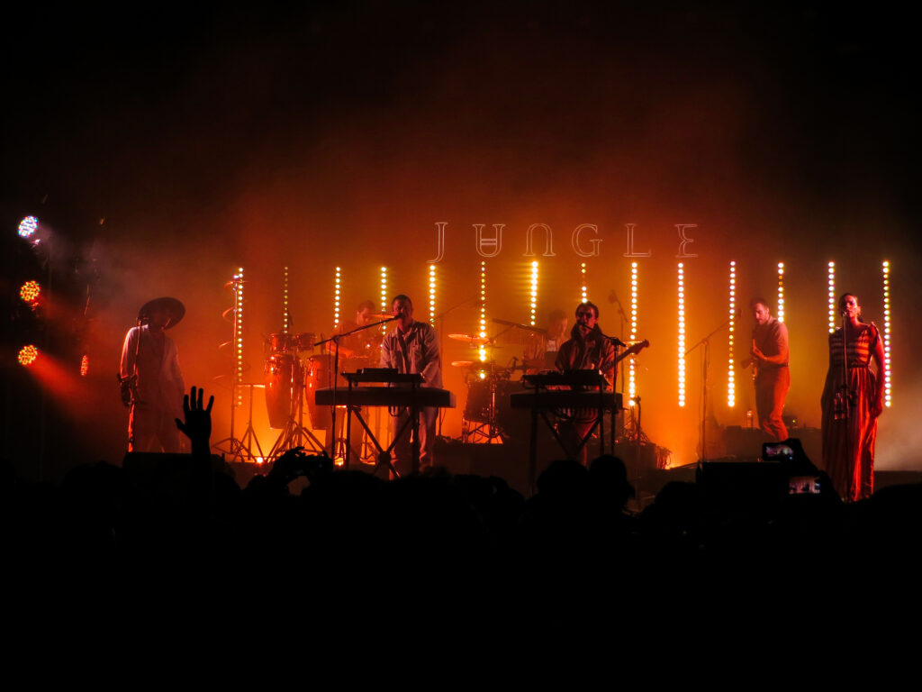 jungle groupe, musique