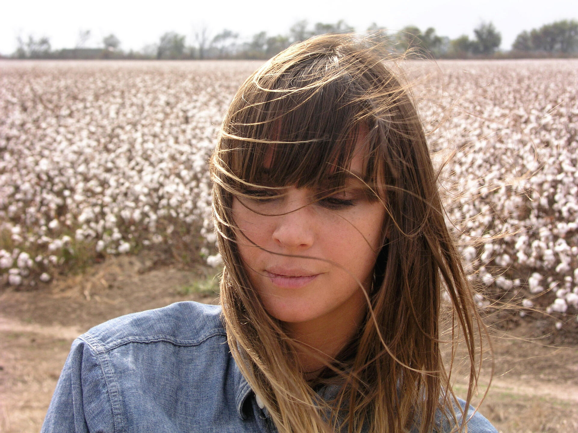 cat power