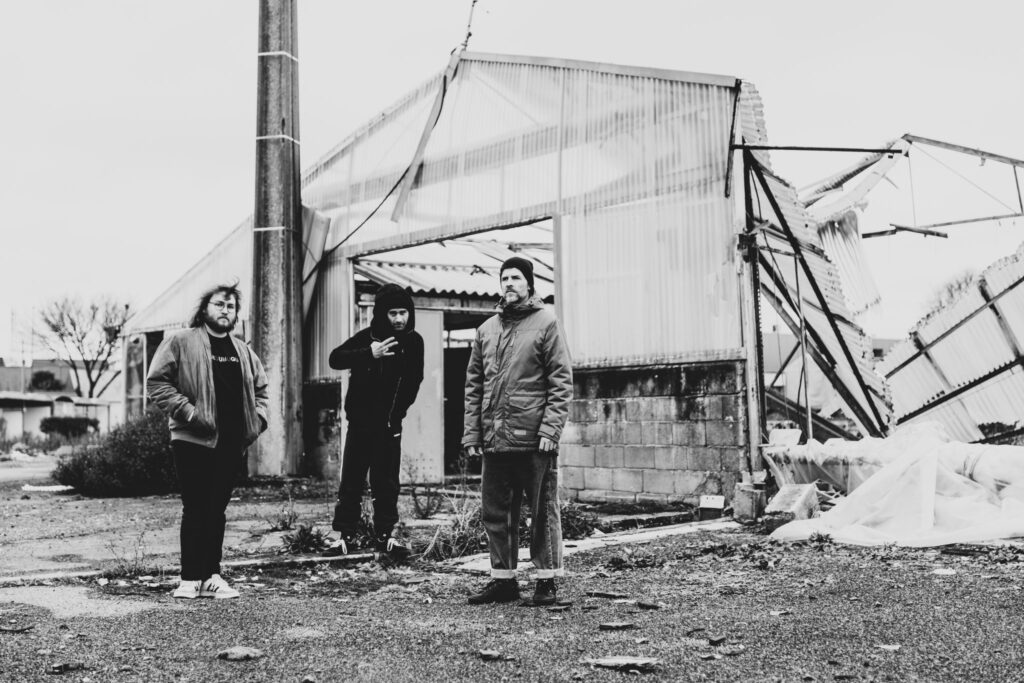 Nos amis belges d’IT IT ANITA reviennent avec un nouvel album qui fait … Mouche !