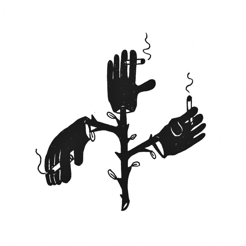 big special big trees