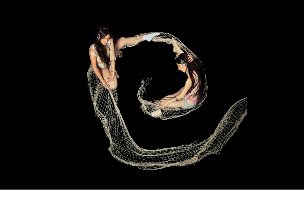 Weyes Blood, Butterfly Net