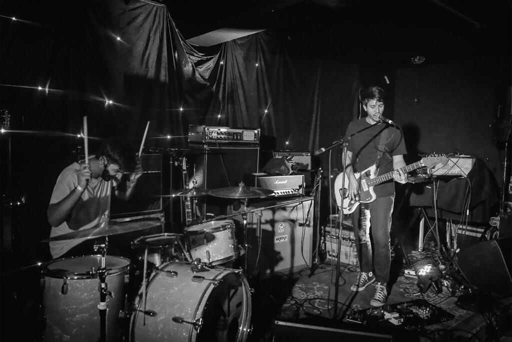 Liverpool Alligator Park