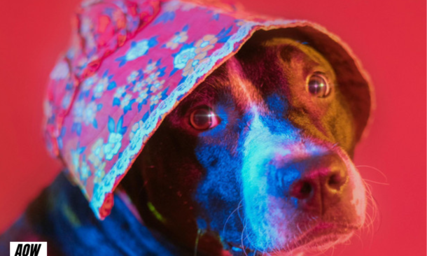 Stripes balance une pépite pleine d'émotion avec “Forever, It Won’t Change”