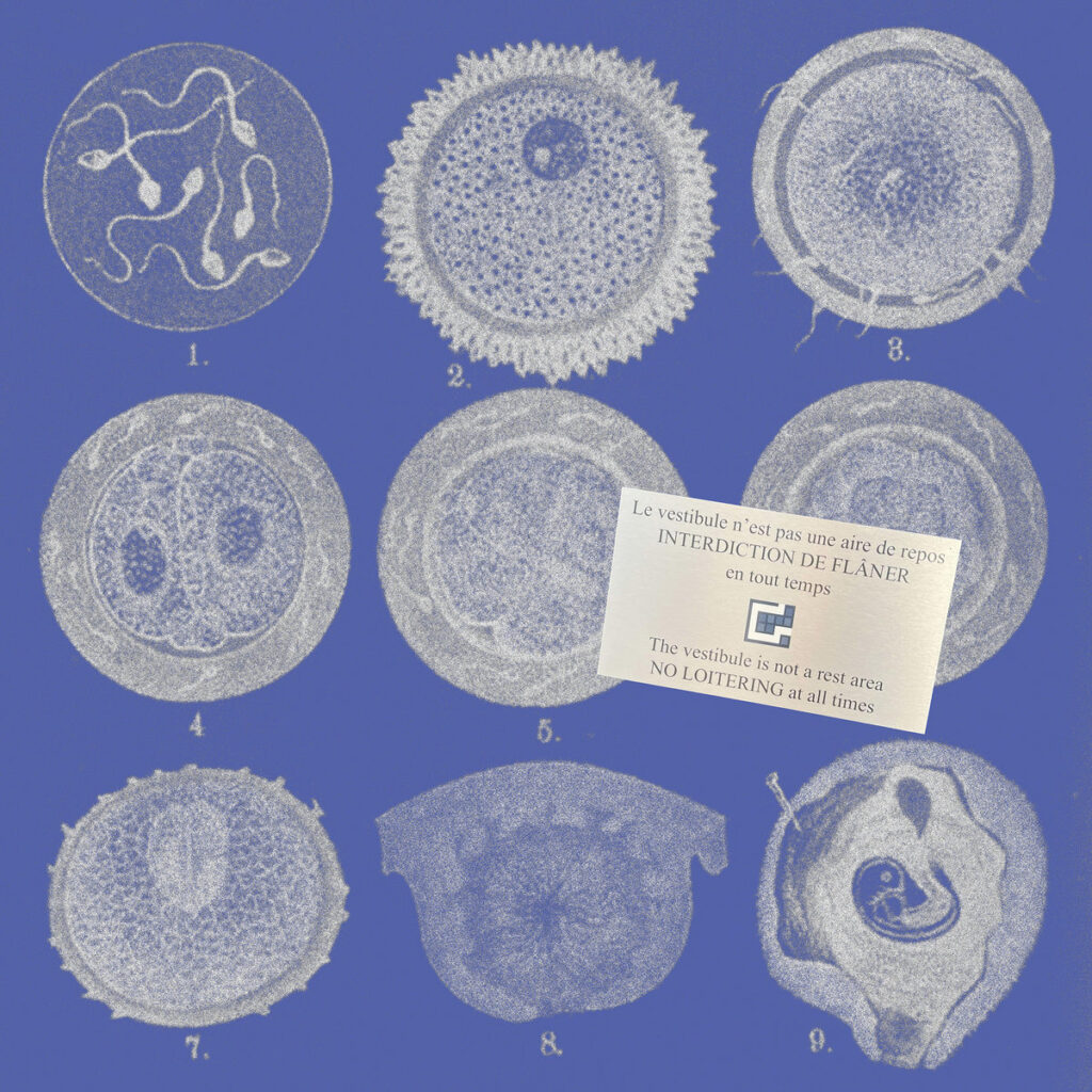 Moi je suis né Quand je suis né Et je suis Et je suis né Né pour flâner Je flâne Donc je suis Jean Divorce est né pour flâner Moi je suis né Quand je suis né Et je suis Et je suis né Né pour flâner Je flâne Donc je suis Jean Divorce est né pour flâner Interdit d’interdire de flâner Interdit d’interdire de flâner Interdit d’interdire de flâner Moi je suis né Quand je suis né Et je suis Et je suis né Né pour flâner Je flâne Donc je suis Jean Divorce est né pour flâner Les sédentaires veulent ma peau Incapables de me retrouver Toujours plus proches d’être à leur plus laid Ils ont tous oublié de flâner Ils ont tous oublié de flâner Interdit d’interdire de flâner Interdit d’interdire de flâner Interdit d’interdire de flâner Moi je suis né Quand je suis né Et je suis Et je suis né Né pour flâner Je flâne Donc je suis Jean Divorce Deeeeeeee flâner!