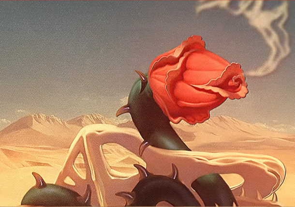 Jungle Jack trinque à la grande vie avec Châteldon