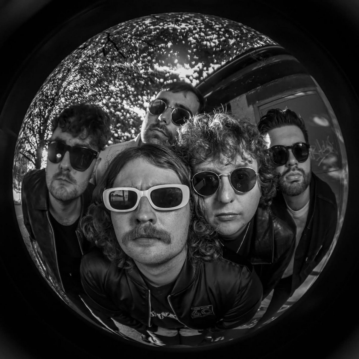 Gallus et “Cool to Drive” : quand la lose devient un hymne punk