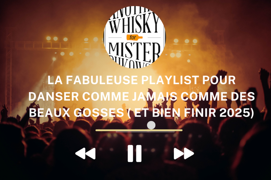 La fabuleuse playlist pour danser comme jamais comme des beaux gosses ( et bien finir 2025)