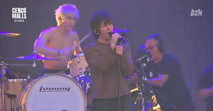 turnstile loopaloza chile