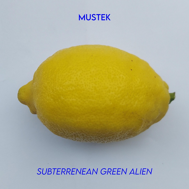 les Italiens de Mustek sortent "Subterranean Green Alien". Un voyage trip-hop entre science-fiction et organique. Découvrez le parcours d'un duo culte.